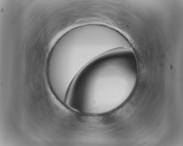 X0000089461518200706151053