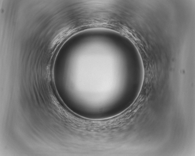 X0000089460002200706151446