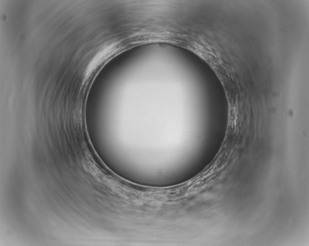 X0000089460004200706151446