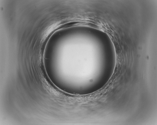 X0000089460005200706151446
