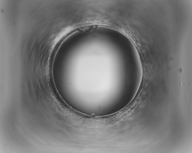 X0000089460008200706151445