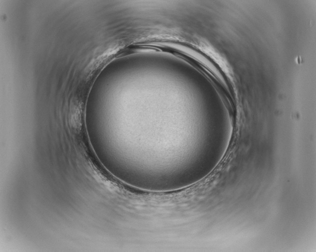 X0000089460009200706151445
