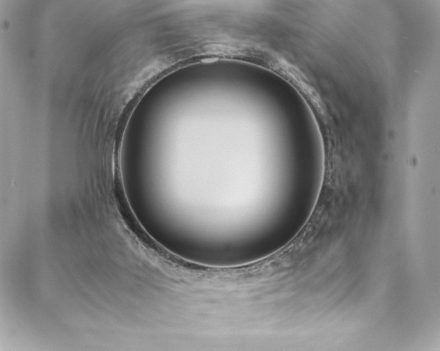 X0000089460011200706151445