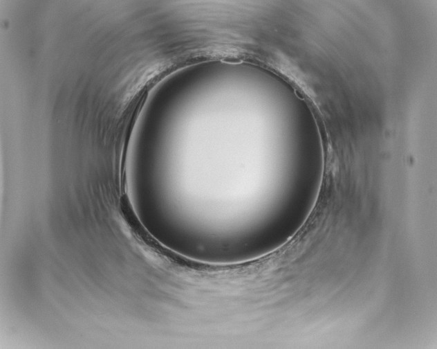 X0000089460013200706151445