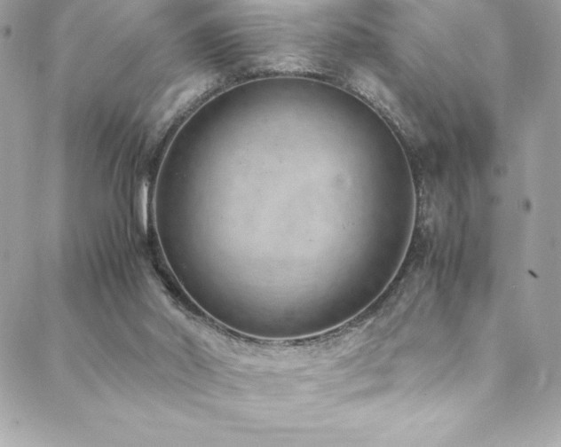 X0000089460014200706151445