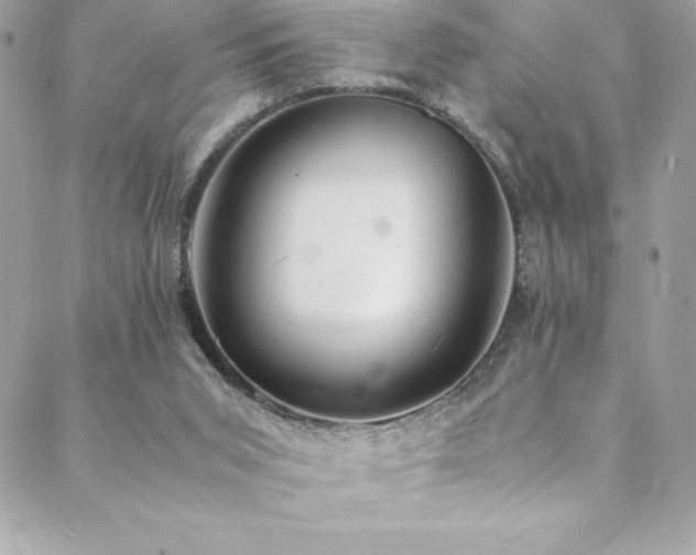 X0000089460015200706151445