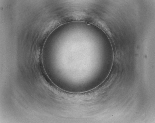 X0000089460018200706151445
