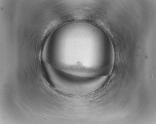 X0000089460019200706151445