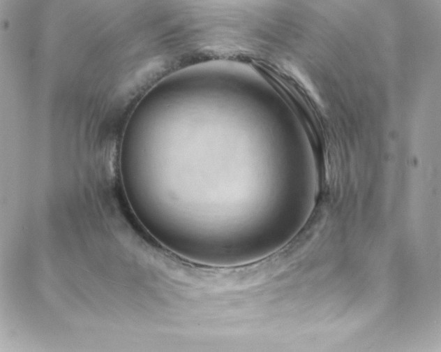 X0000089460023200706151445