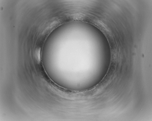 X0000089460028200706151445