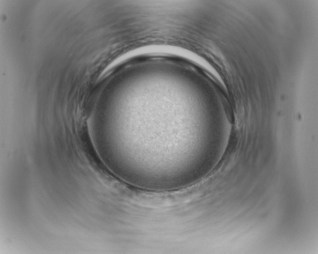 X0000089460029200706151445