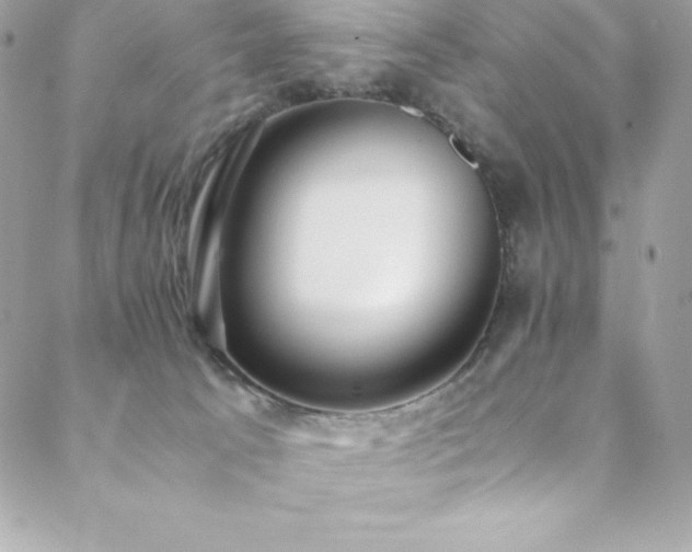 X0000089460033200706151445