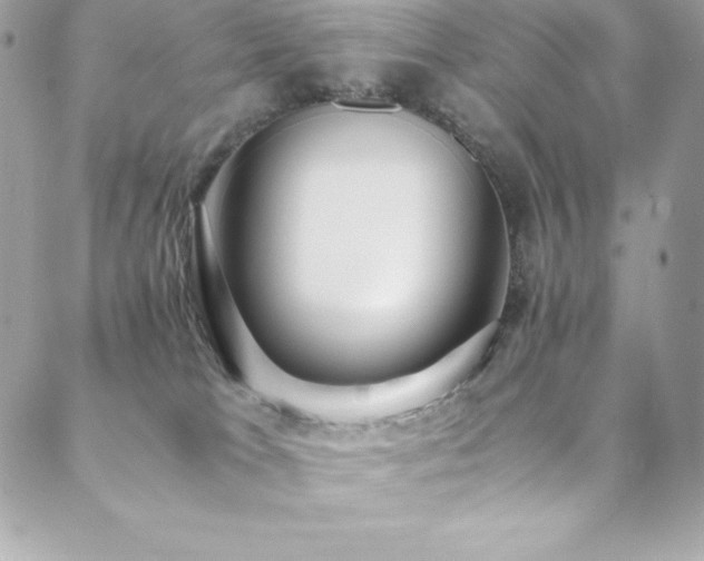 X0000089460037200706151445