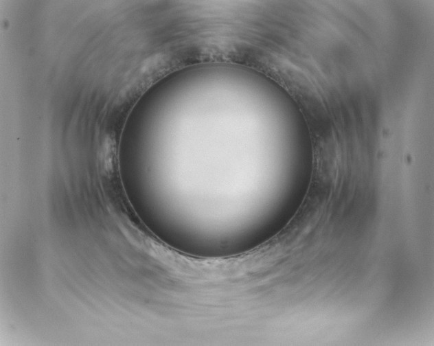 X0000089460038200706151445