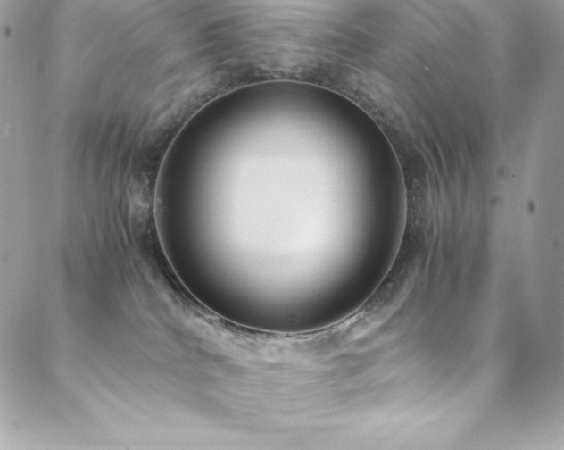 X0000089460040200706151445