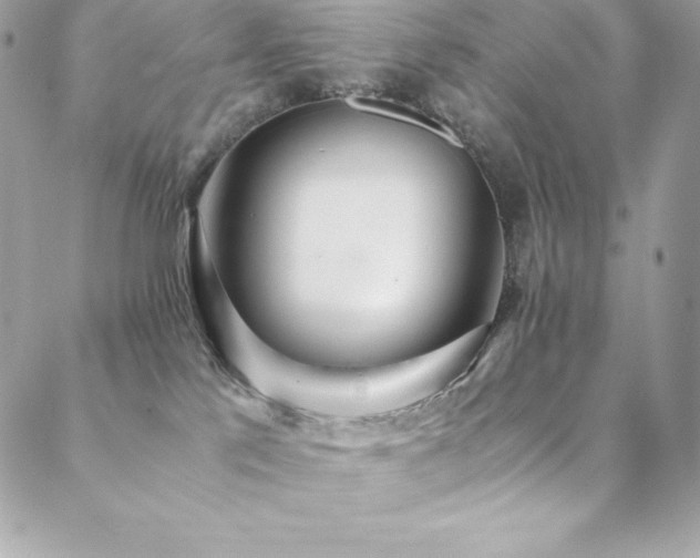 X0000089460041200706151445
