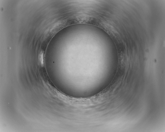 X0000089460042200706151445