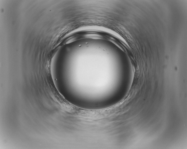 X0000089460045200706151445