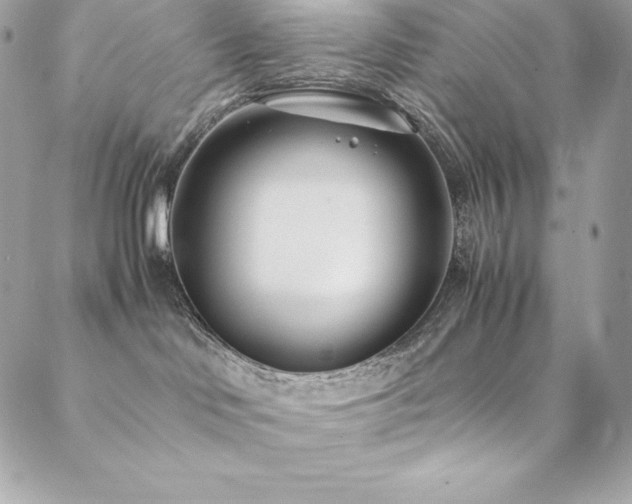 X0000089460046200706151445