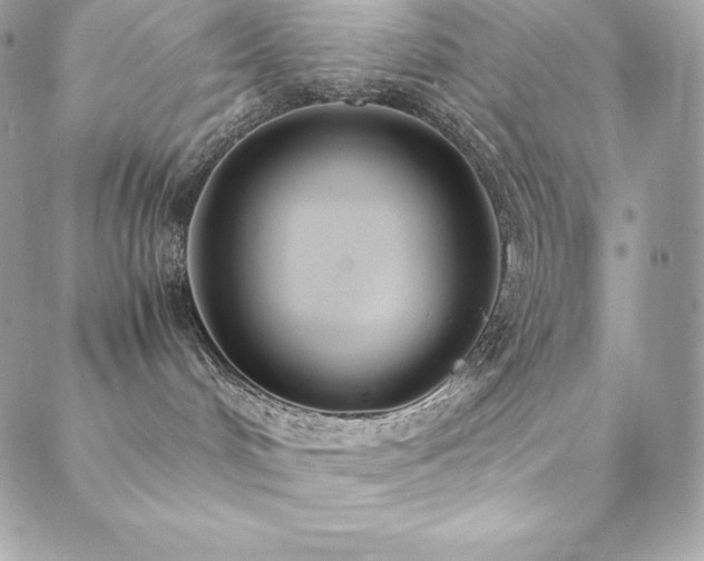 X0000089460048200706151445