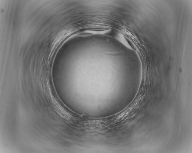 X0000089460049200706151444