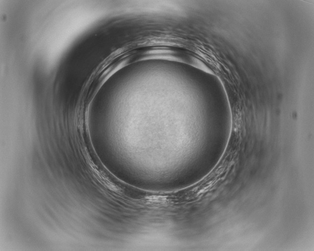X0000089460052200706151444