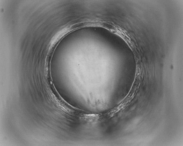 X0000089460053200706151444