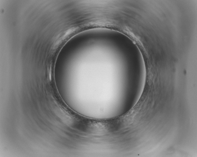 X0000089460062200706151444