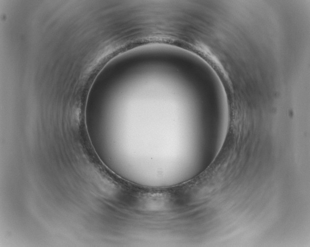 X0000089460063200706151444