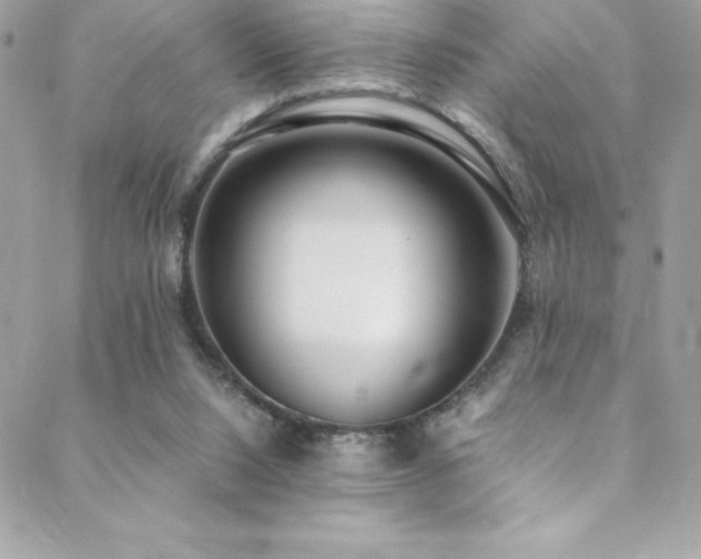 X0000089460064200706151444