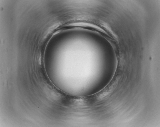 X0000089460068200706151444