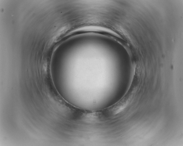 X0000089460072200706151444
