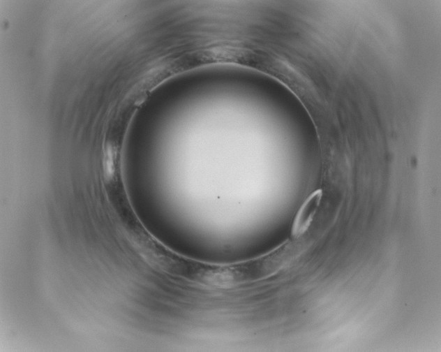 X0000089460075200706151444