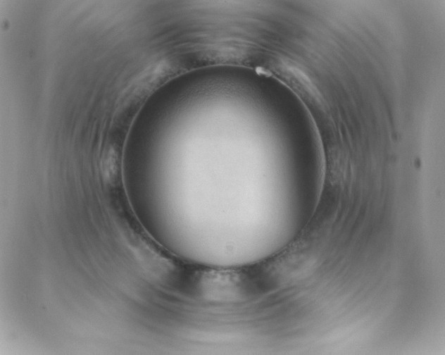 X0000089460077200706151444