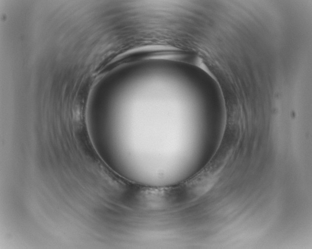 X0000089460084200706151445
