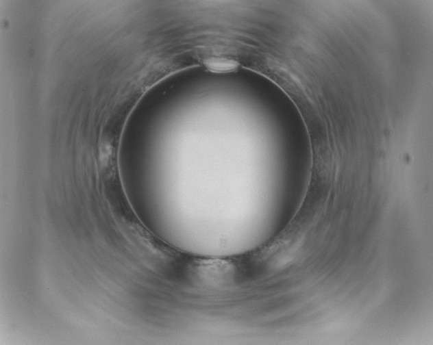 X0000089460087200706151445