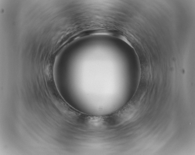 X0000089460088200706151445