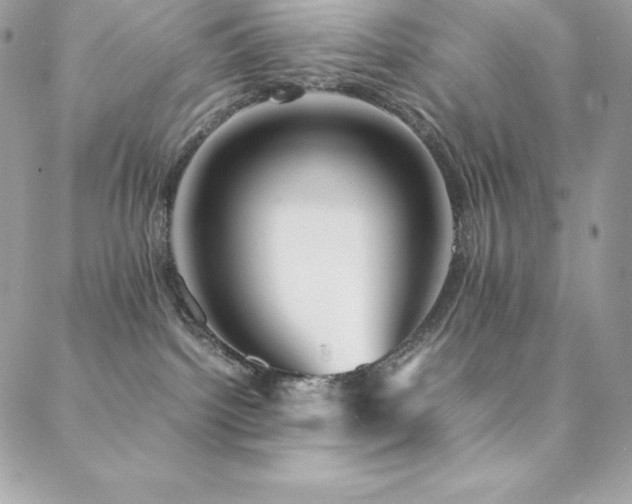 X0000089460092200706151445