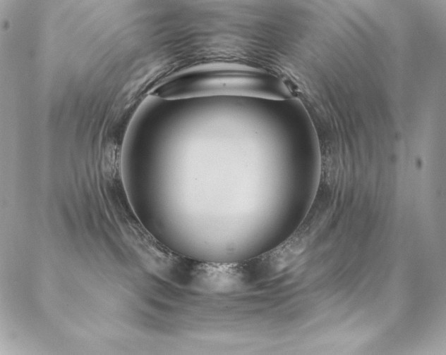 X0000089460093200706151445