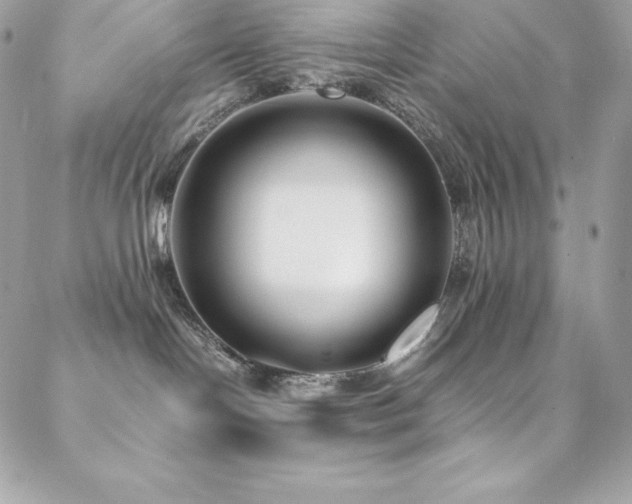 X0000089460094200706151445