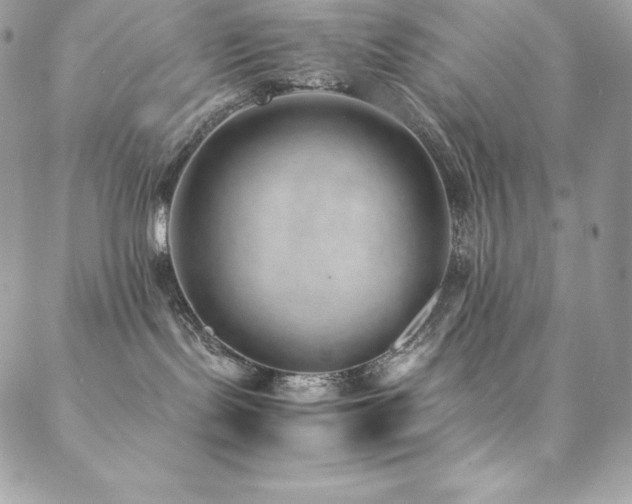 X0000089460095200706151445