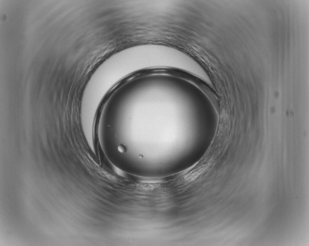 X0000089460096200706151445