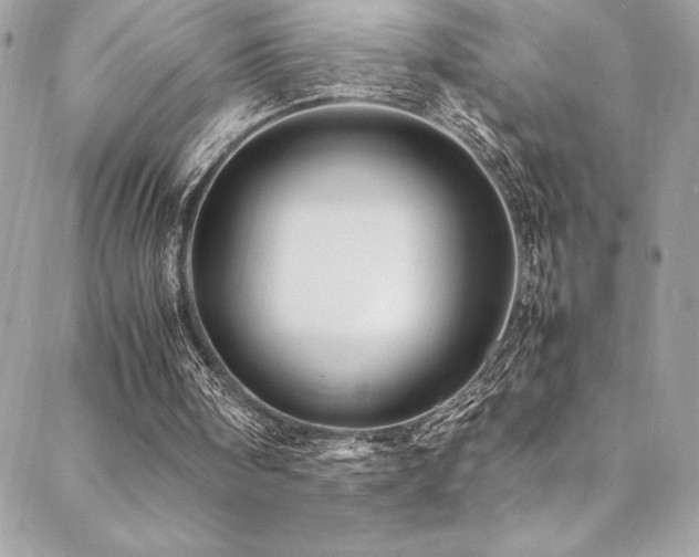 X0000089460098200706151444
