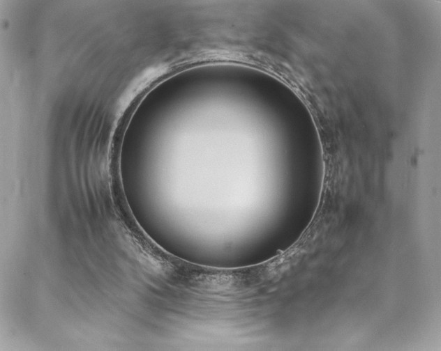 X0000089460104200706151444