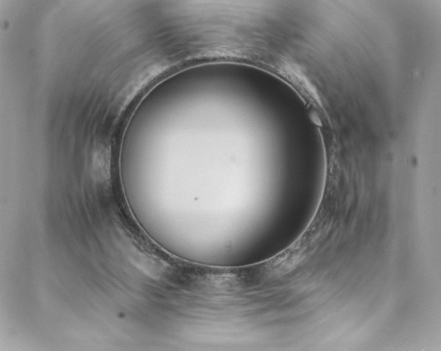 X0000089460108200706151444