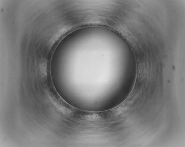 X0000089460112200706151444