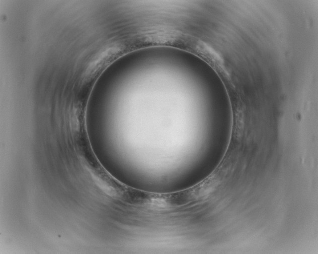 X0000089460114200706151444