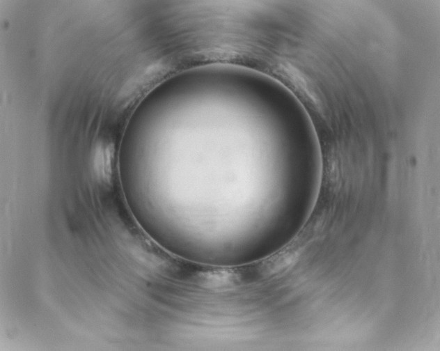 X0000089460118200706151444