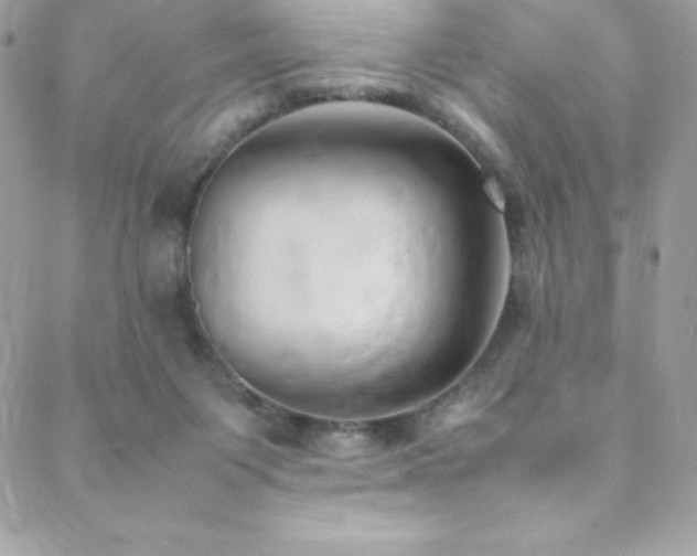 X0000089460119200706151444