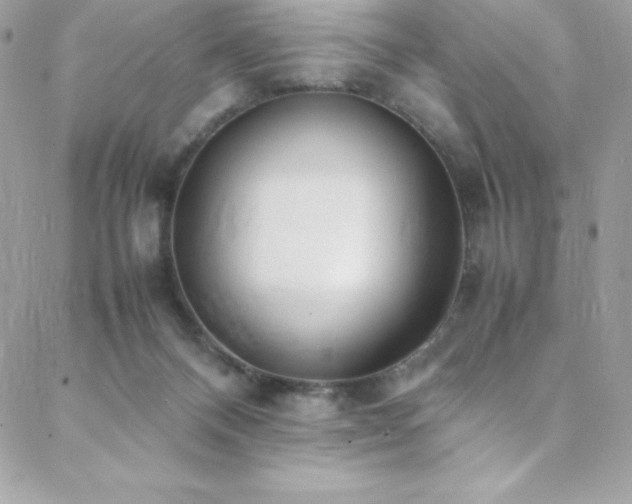 X0000089460120200706151444
